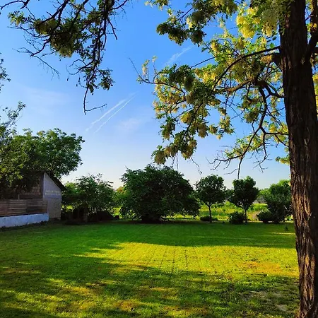 Ethno&coffee House Tulip 3* Glozan