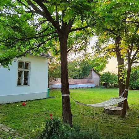 Bed & Breakfast Ethno&coffee House Tulip 3*