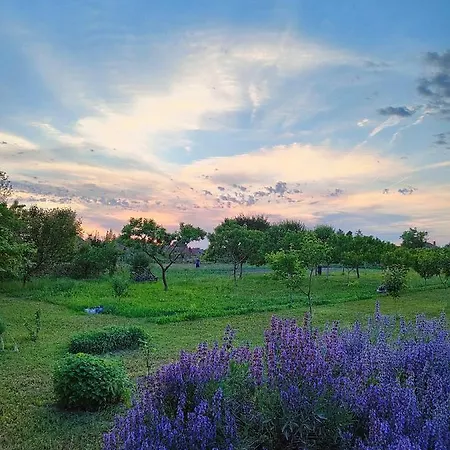 Ethno&coffee House Tulip Bed & Breakfast 3*