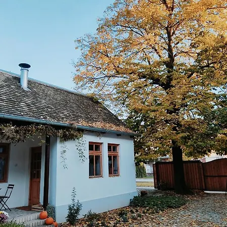 Ethno&coffee House Tulip Glozan