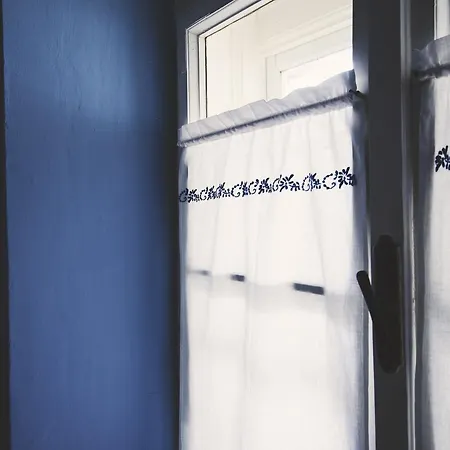 Ethno&coffee House Tulip